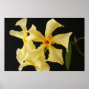 Suche nach jasmin kunst Grün