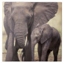 Suche nach umwelt fliesen Fauna