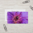 Suche nach clematis visitenkarten Pflanze