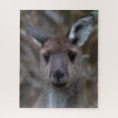 Suche nach känguru puzzle Foto