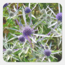 Suche nach wilde pflanze aufkleber Flora