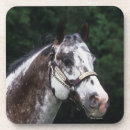 Suche nach appaloosa untersetzer Bob langrish