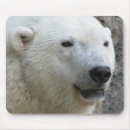 Suche nach eisbär mousepads Polar