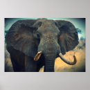 Suche nach große ohren poster Elefant