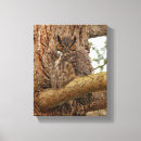 Suche nach owl leinwandbilder Braun