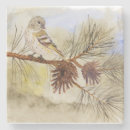 Suche nach hinterhof untersetzer Vogel