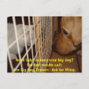 Suche nach big dogs Hunde