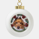 Suche nach hund kugel ornamente Dogs