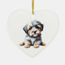 Suche nach havanese ornamente Rettung