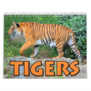 Suche nach tiger kalender Katze