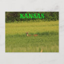 Suche nach weizenfeld postkarten Kansas