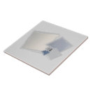 Suche nach roller fliesen Blau