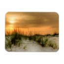 Suche nach möwe magnete Seegras