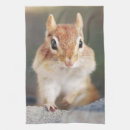 Suche nach chipmunks geschirr tücher Natur