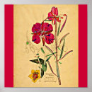 Suche nach makrele poster Blume