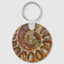 Suche nach fossil schlüsselanhänger Prähistorisch