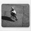 Suche nach tauben mousepads Tiere