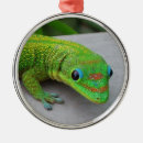 Suche nach inländisch ornamente Wild