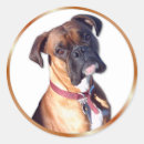 Suche nach reinrassig aufkleber Welpe