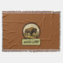 Suche nach bison decken Tierwelt