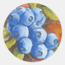 Suche nach blaubeeren aufkleber Nahrung