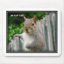 Suche nach lustiges eichhörnchen mousepads Fotografie