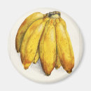 Suche nach rohe magnete Obst