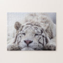 Suche nach white tiger puzzle Katze