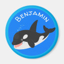 Suche nach orca wale magnete Ozean