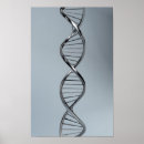 Suche nach dna poster Wissenschaft