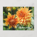 Suche nach orange blumen postkarten Naturfotografie