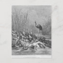 Suche nach moralisch poster Tier