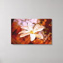 Suche nach magnolien leinwandbilder Natur