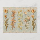 Suche nach vintage pflanzen postkarten Blume