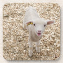 Suche nach lamm untersetzer Baby