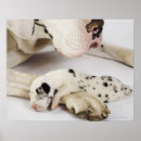 Suche nach liegend poster Horizontal