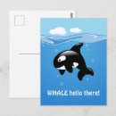 Suche nach orca wal postkarten Niedlich