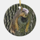 Suche nach wecker ornamente Verzierung