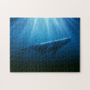 Suche nach buckelwal puzzle Alaska