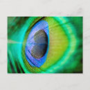 Suche nach das makro postkarten Lila