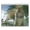 Suche nach eichhörnchen kalender Niedlich