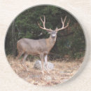 Suche nach hirsch untersetzer Wild