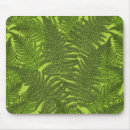 Suche nach farn mousepads Wald