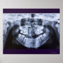 Suche nach waagerecht poster Nah up