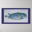 Suche nach tropical fish poster Marine