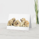 Suche nach pile karten Haustier