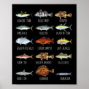Suche nach biologie poster Tier
