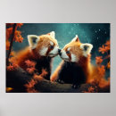 Suche nach tierwelt poster Wildnis
