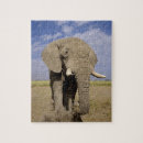 Suche nach kenia puzzle Säugetier