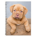 Suche nach riesen notizbuch Baby